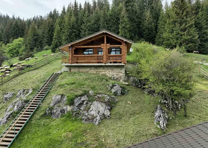 под звездите 3* パンポロボ