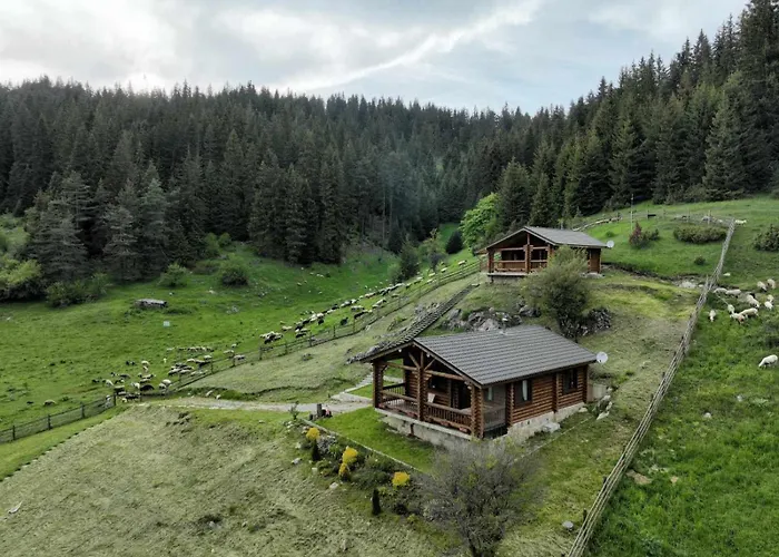 под звездите